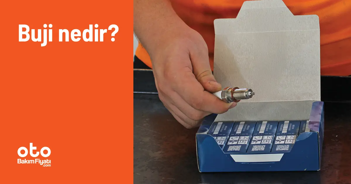 Buji nedir?