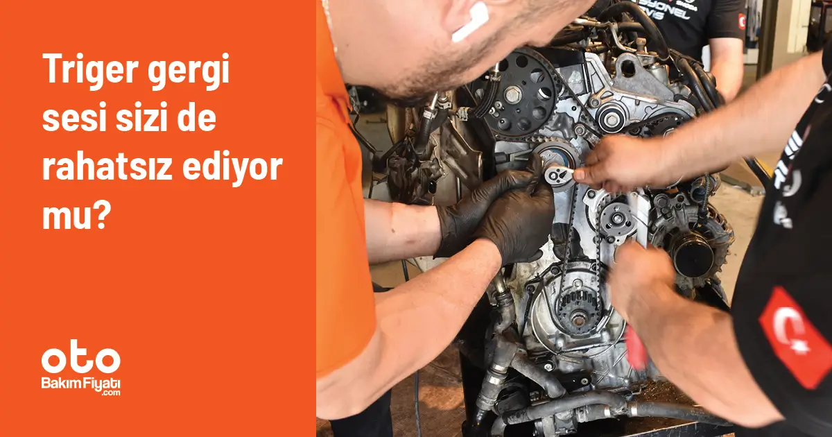 Triger gergi sesi sizi de rahatsız ediyor mu?